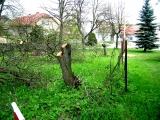 likvidace Petýrkovy zahrady